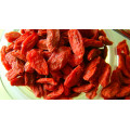 Ningxia Goji Berry Proveedor